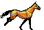 an epic horse neighing